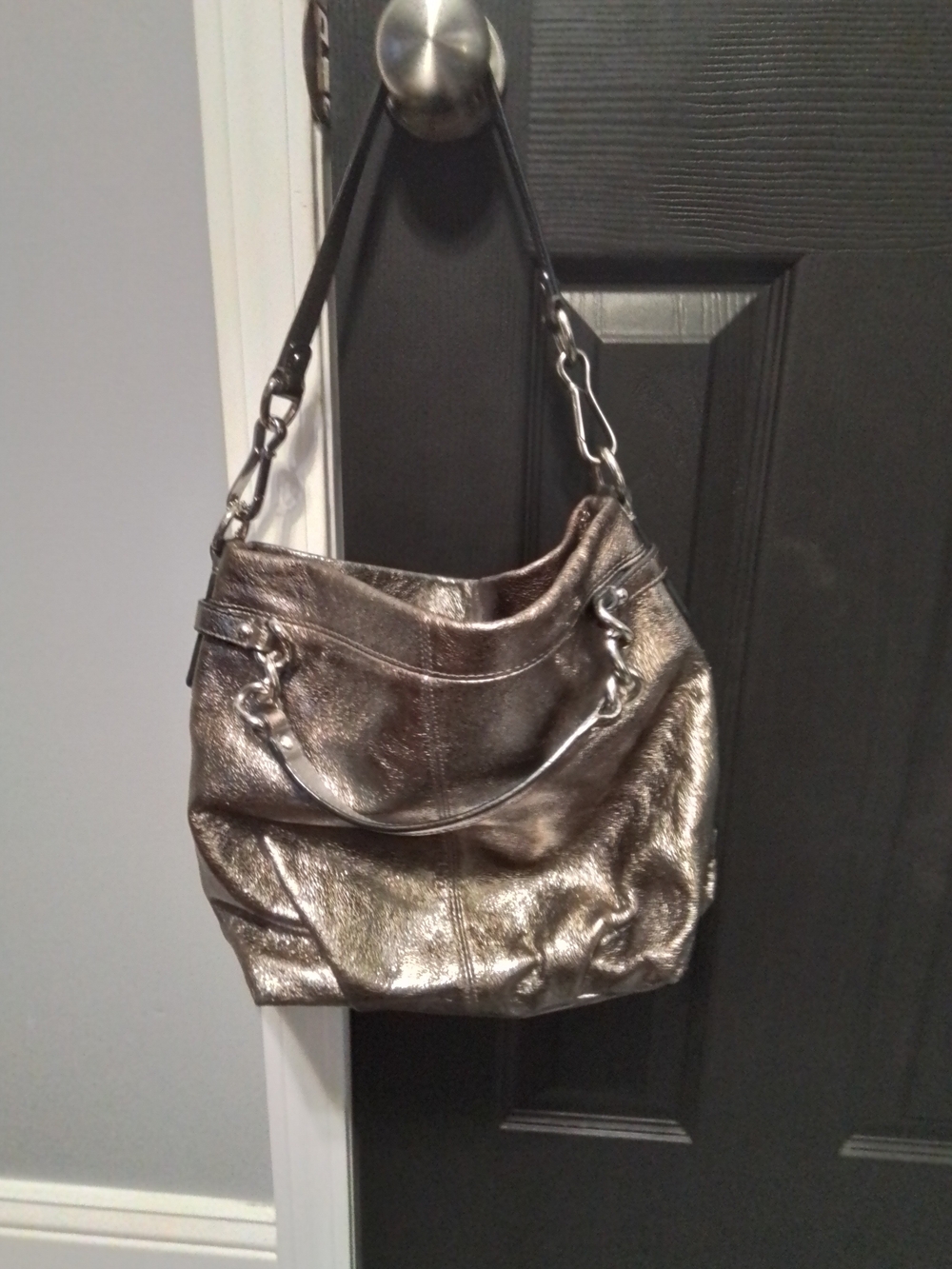 Coach Metallic Hobo Shoulder Bag